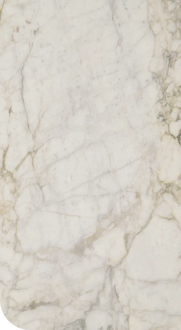 Arabescato Vagli Antico Feature image