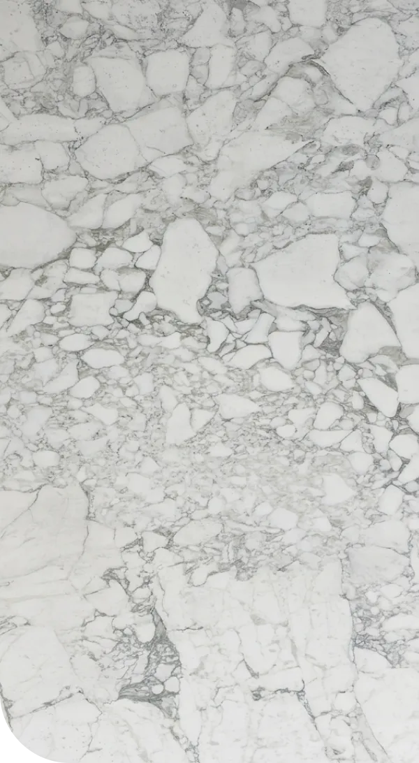 Arabescato Vagli Feature image