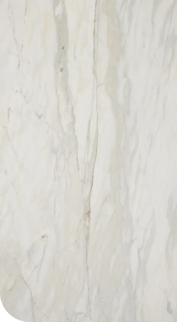 Calacatta Cremo Feature image