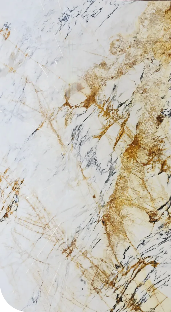 Paonazzo Fabbricotti feature image