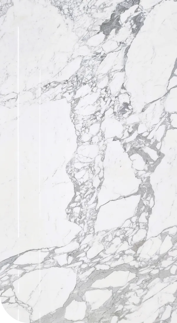 Statuario feature image